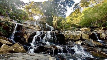 Quadri Cachoeira do Roncador